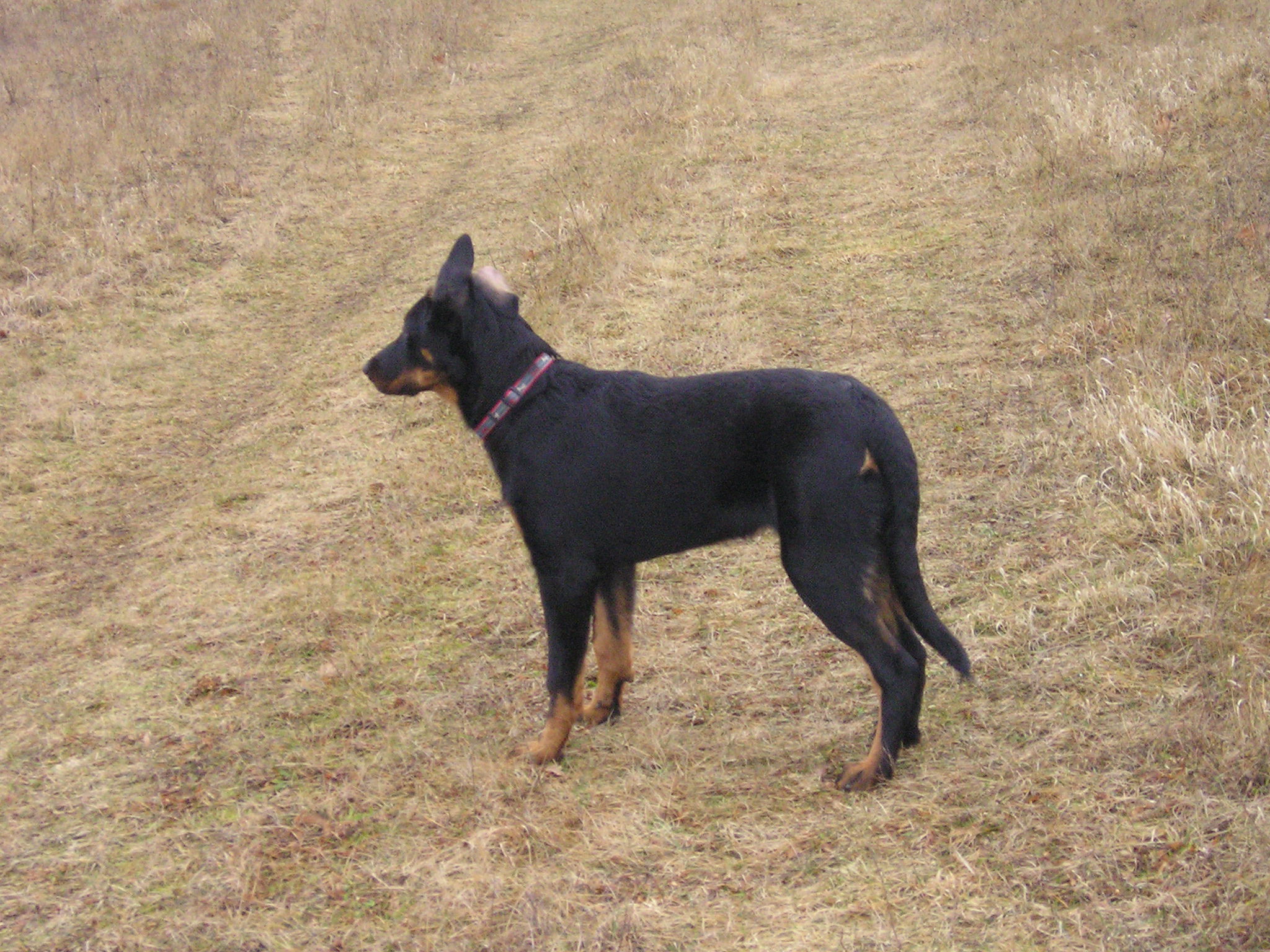 fotky 2007 027.JPG