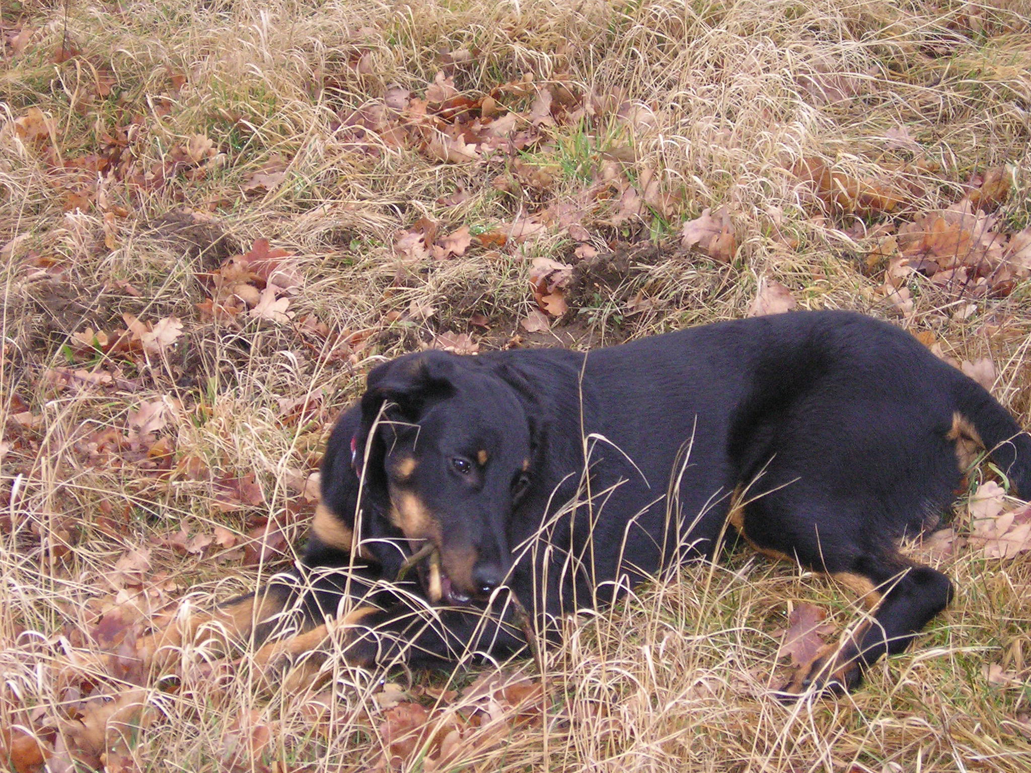 fotky 2007 029.JPG