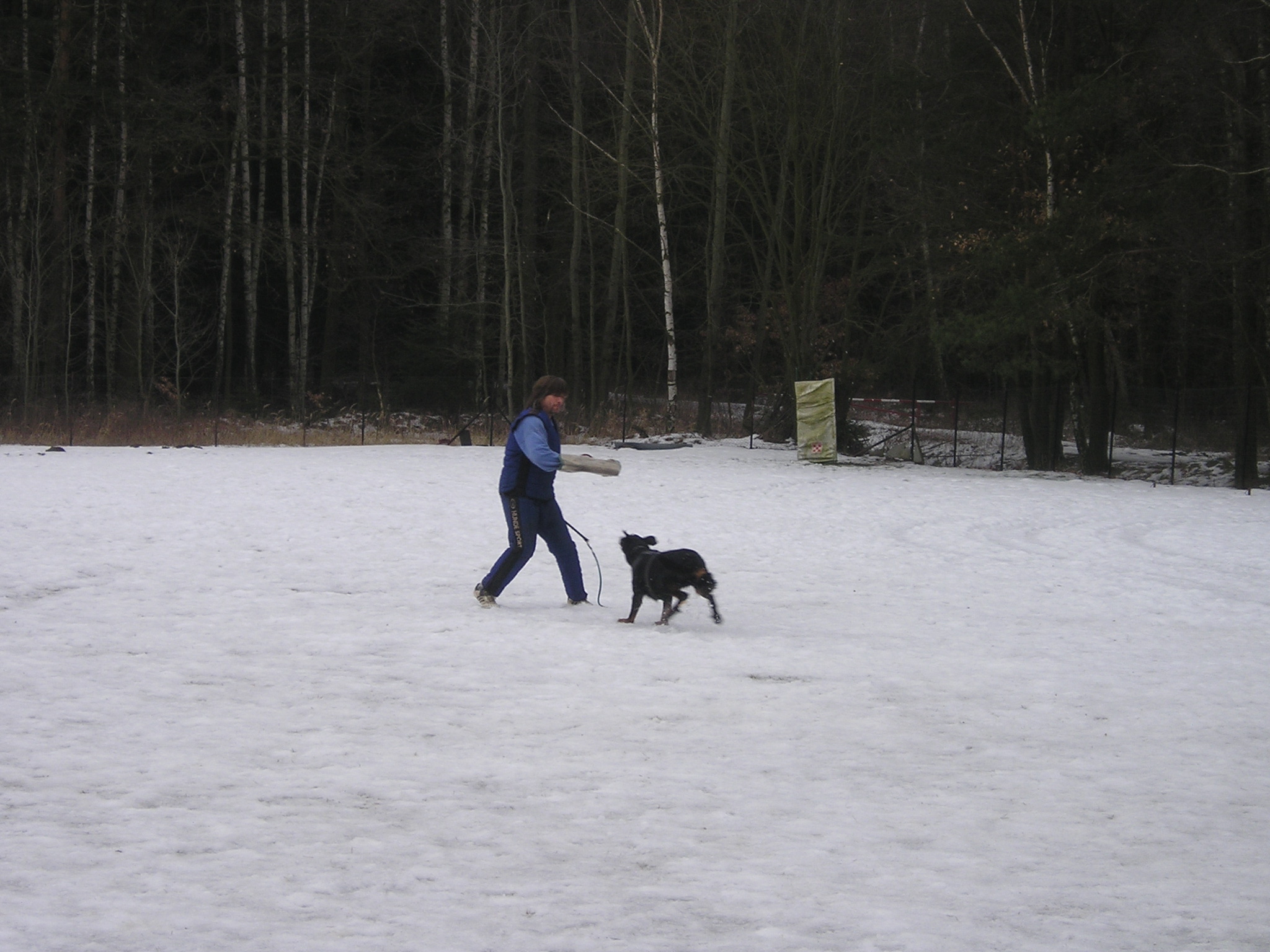 Aurora 2009 045.JPG
